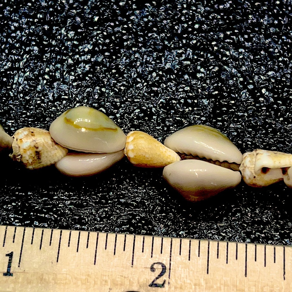 Set Of Three Cowrie & Conch Shell Long Necklaces - image 3
